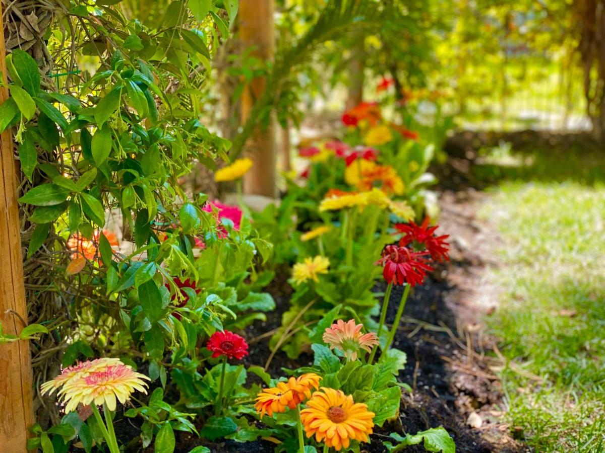Beach Garden Paradise Durres Bagian luar foto